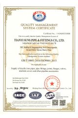 ISO 9001 certificate from TIANYI SUNS PIPE & FITTINGS CO., LTD.