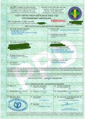 PHYTOSANITARY CERTIFICATE certificate from NS VINA IMPORT EXPORT TRADING MANUFACTURING COMPANY LIMITED