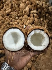 Semi husk cocount 🥥 – product photo 3, product detail gallery