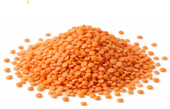 Canadian Red lentils - Image 1