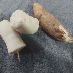Fresh Cassava - Image 2