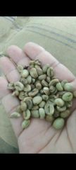 coffe bean (sample) – product photo 1, product detail gallery