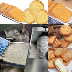 High-Capacity Cookie Production Machine Reliable Soft Biscuit Making Line Multi-Functional Biscuit Dough Shaping Unit - Image 5