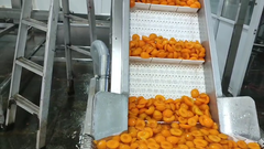 Hot Selling Cheap Fresh Canned Apricot Halves In Cans Slight Syrup - Image 6