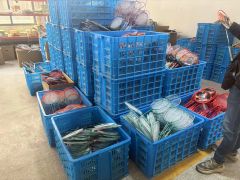 Production line certificate from Danyang Huasheng Sporting Goods Co., Ltd