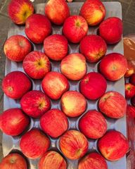Fresh Delicious Fuji And Gala Apples Available Now!! - Image 4