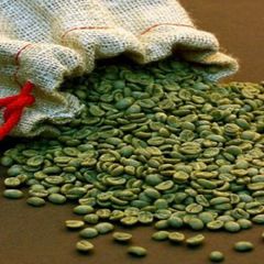 High Quality Green Coffee Beans Grade A GRADE Weight (kg) 60 Variety Arabica Type Coffee Bean Shelf Life 2 YEARS Brand Name GG - Image 3