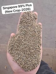 Cumin seeds - Image 1