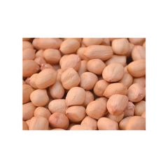 Best Pure Natural Dried Java Peanuts 100% Raw Quality Ground Nuts Peanuts Buy At Low Price - Image 1