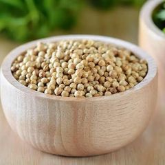 Premium Indian Coriander Seeds – Bulk Export Supply from India - Image 3