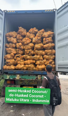 Semi-husked Coconut – product photo 4, product detail gallery