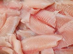 Premium Frozen Fish Fillets - Image 2