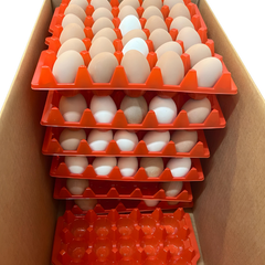 Chicken Eggs  – product photo 2, product detail gallery