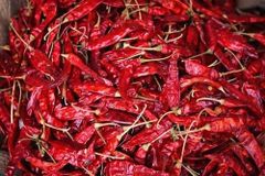 Premium Indian Whole Dry Red Chilli (Stem & Stemless) | Guntur Teja, S17, Byadgi, Kashmiri Varieties - Image 1