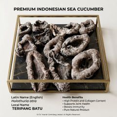 Dried Sea Cucumber - Image 2