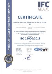 ISO 22000 CERTIFICATE certificate from GUZEL CAN GIDA TARIM URUNLERI INS.TUR.SAN.TIC.VE.LTD.STI