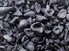 Carbonised kernel shell - Image 1