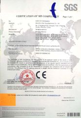 SGS CE certificate from Wenzhou Qianding Machinery technology Co., Ltd.