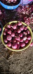 Onions Grade A Grade Color Pink (Garwa viriety) Size 25mm+ to 55mm+ as per client's requirement Packaging 1 Kg to 50 Kg in mesh/jute bags as per client's - Image 2