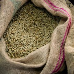 Premium Green Coffee Beans Raw Unroasted Natural Beans For Fresh Roasting Buy Fast Delivery Premium Quality Wholesale Naturally  100% Natural New Crop 25-26 GREEN COFFEE BEANS Full Washed – product photo 2, product detail gallery