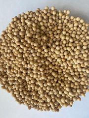 Soybean Seeds