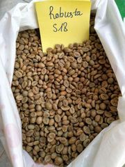 Top Quality Premium Grade Green Coffee Bean Factory Supplier Best Price 100% Natural Pure Green Coffee Bean WHATSAPP +255762500052 - Image 1