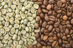 Vietnam Robusta Coffee Bean Export to EU, Korea, USA High Quality Low Price Wholesale for Roasted / Green Coffee Beans – product photo 3, product detail gallery