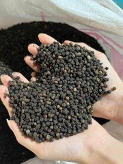 Premium Quality Dried Raw Vietnam Black Pepper 550 G/L 570 G/L Bold Grain Whole Peppercorns Export Grade Standard 500 G/ - Image 3