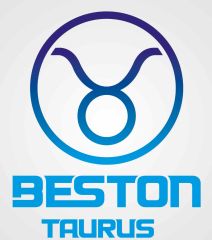Dalian BestOn Industries Co., Ltd.