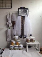 Natural  Organic Avocado Bee Honey. and  multi flower bee Honey . Mexico - Image 3
