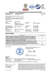 10P certificate from Shantou Yanaa Toys Co., Ltd