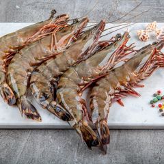 Fresh Frozen Shrimp IQF or Block Frozen Carefully Processed and Packed for Maximum Freshness and Long Shelf Life – product photo 3, product detail gallery
