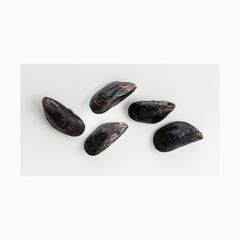 Seafood Importers Mussels In Shellfish Import Export Frozen Seafood High Quality Frozen Half Shell Mussel Frozen Shellfish In Se - Image 2