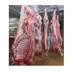 Frozen Clean Beef Carcasses For sale At Best Price - Image 5