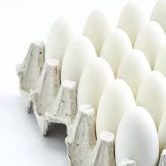 1/6 High Quality Origin Standard White Shell Chicken Eggs From India For Healthy Food Consumption product - Image 4