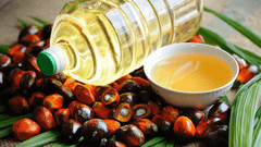 Crude Palm Oil Grade Crude palm oil, Palm kernel Oil Packaging Details 25 liters jerrycan, 200 liters - Image 2
