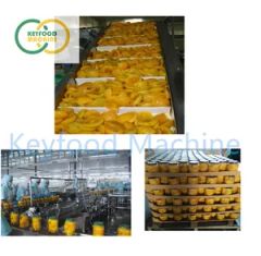 Automatic Canned Yellow Peach Orange Fruit Production Line - Image 5