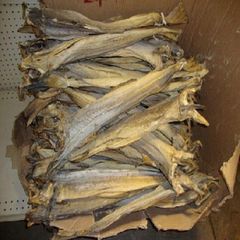 Quality Grade A Dried StockFish for sale / Frozen Stock Fish/DRIED STOCK FISH FOR SALE. DRIED STOCK FISG COD /NORWAGIAN – product photo 1, product detail gallery