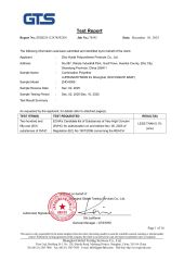 GTS certificate from Zibo Huide Polyurethane Products Co., Ltd.