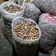 Affordable Betel Nuts Fresh Natural Whole and Split Areca Nuts Premium Quality for Retail, Wholesale and Food Industry - Image 3
