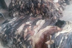 Premium Export Quality Wet Salted Donkey Hides Dry Salted Donkey Skins Wholesale Supplier Leather Goods Manufacturing - Image 3