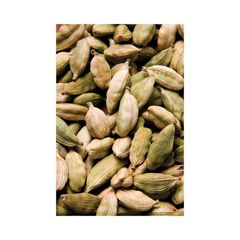 green elaichi cardamom pods for chai tea lovers premium spice for desserts sweets baking cooking with strong fragrance and flavorbulk supplier of green cardamom elaichi pods export quality spice for tea industry baking sweets and food manufacturing worldwide - Image 1