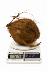 Coconut Semi Husked – product photo 2, product detail gallery