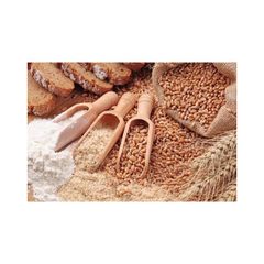 Wheat Bran offered at discount price for animal feed and dietary fiber applications - Image 4