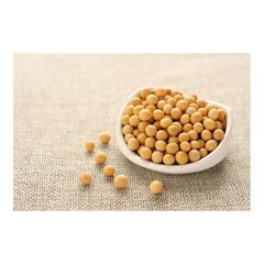 Bulk supply of soybeans ready for sale with premium quality and high protein content - Image 4