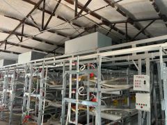 Compact Multi-Tier Chicken Coop for Efficient Poultry Farming - Image 6