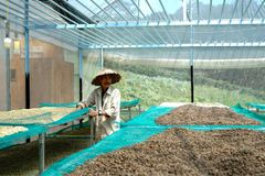 Company – thumbnail 8 of 11, supplier detail gallery