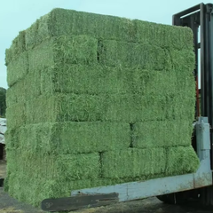 Premium Alfalfa Hay For Livestock Feed Alfalfa Hay With High Protein Content And Rich Nutrients For Healthy Animals - Image 5