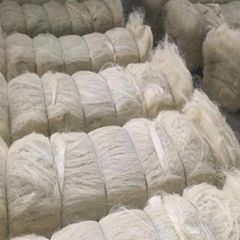 Sisal Fiber
