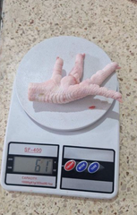 Frozen Chicken Paws Grade A – Jumbo 50g+ – IQF – Halal – Algeria - Image 2